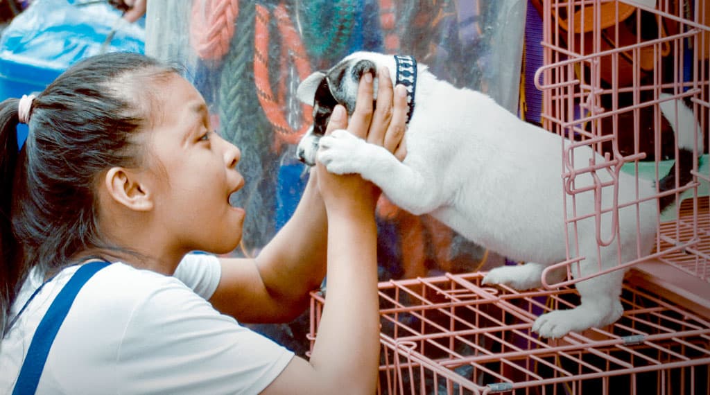 Niños y perros la gran alianza